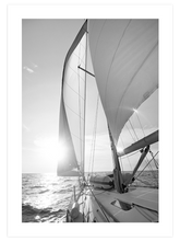 Siyah Beyaz Yelken - Art Print